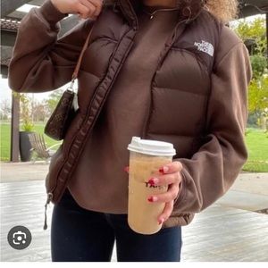 The North Face Aconcagua Down Vest